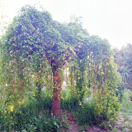 Casa Con Jardin Y Aparcamiento En Viznar, Junto A Granada别墅 外观 照片