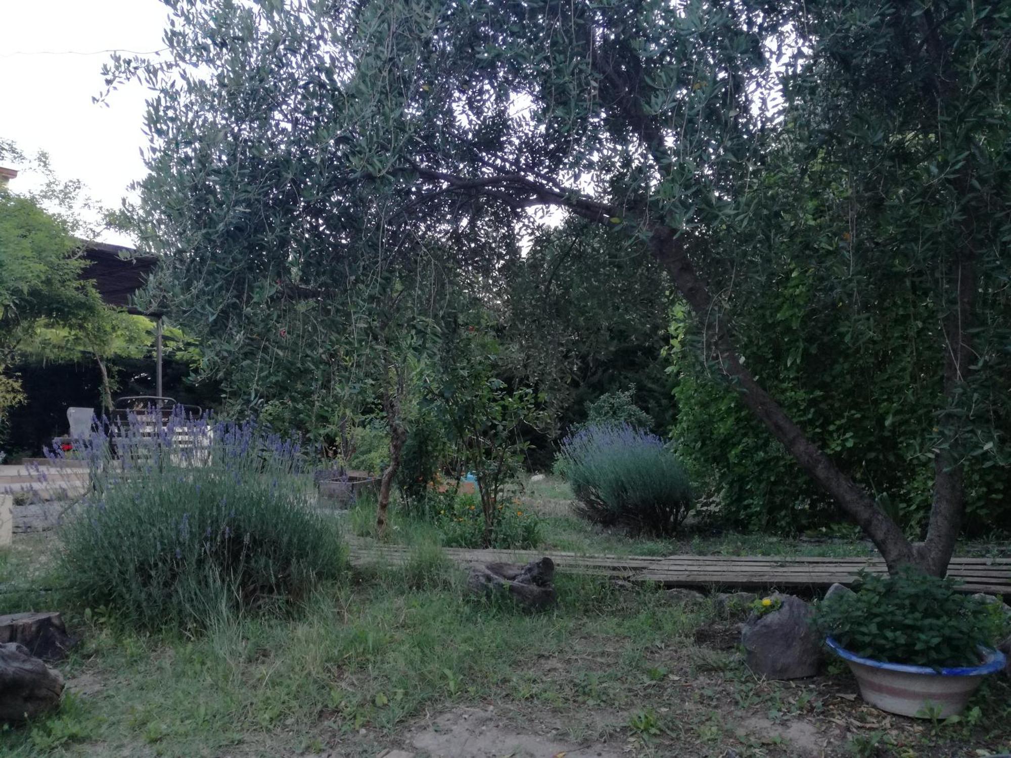 Casa Con Jardin Y Aparcamiento En Viznar, Junto A Granada别墅 外观 照片